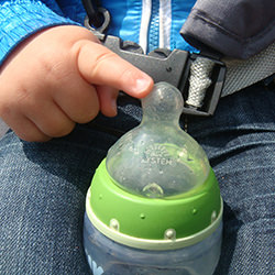 Baby Bottle